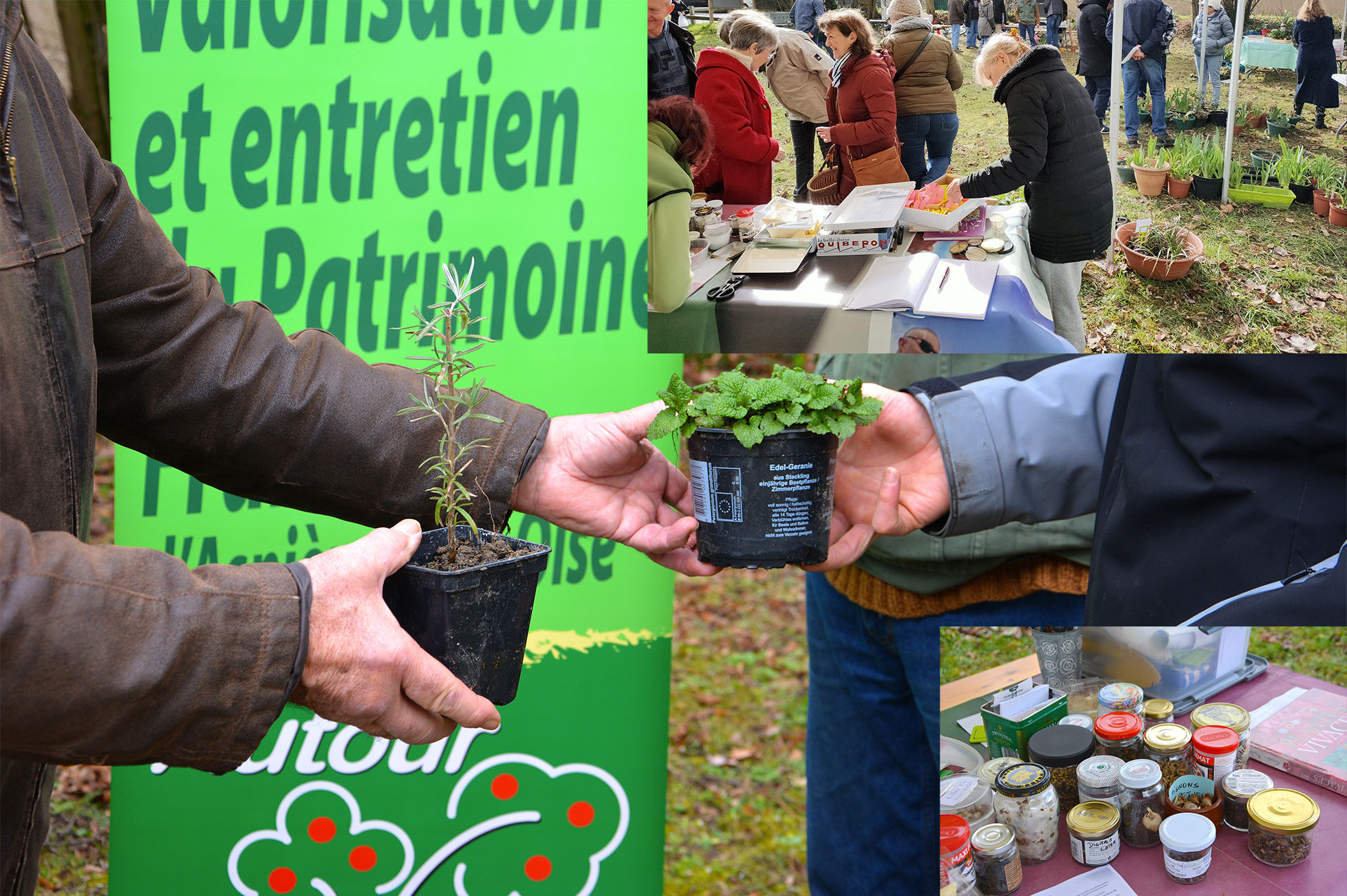 troc plantes 2023